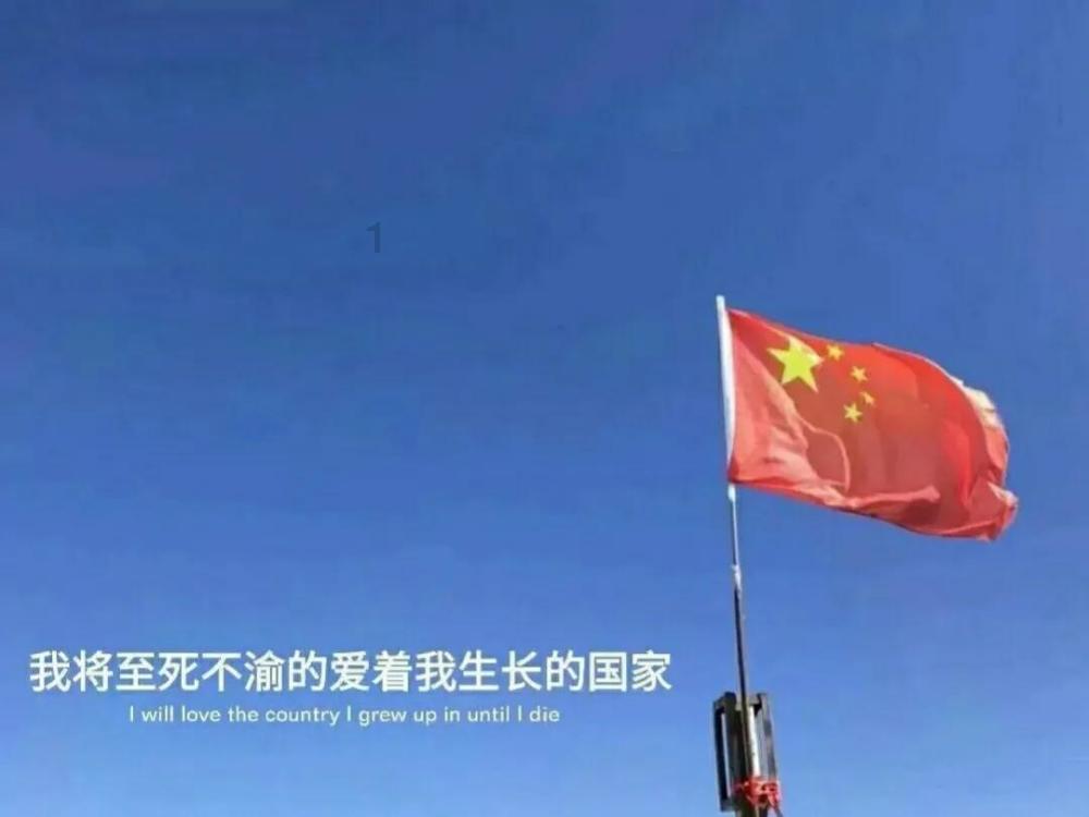 病菌猎人