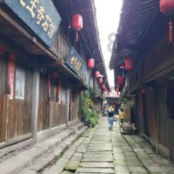 卡通骆驼救援